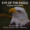 Eye of the Eagle - Conference eCourse
