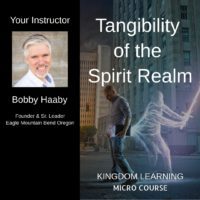 Bobby Haaby /// Tangibility of the Spirit Realm - Micro Course
